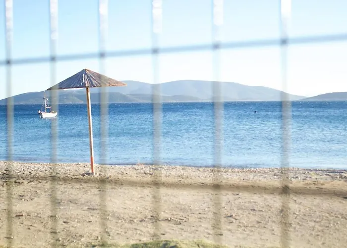 Apartment Poline Traditional House With Garden & Sea In 0 Distance Marmari (Evia)